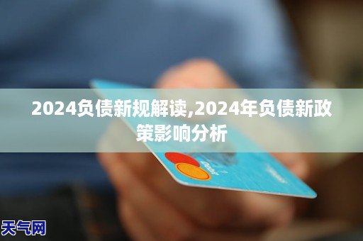 2024负债新规解读2024年负债新政策影响分析(图1)