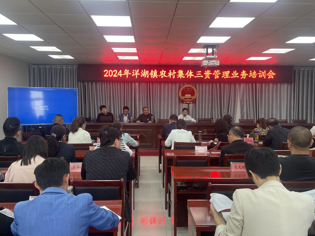 东至县洋湖镇开展2024年度农村集体三资管理业务培训会(图1)