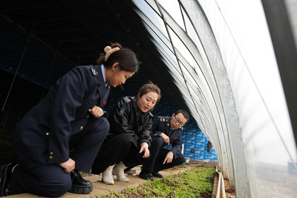 黑龙江省青年税务干部开展税务宣传活动(图2)