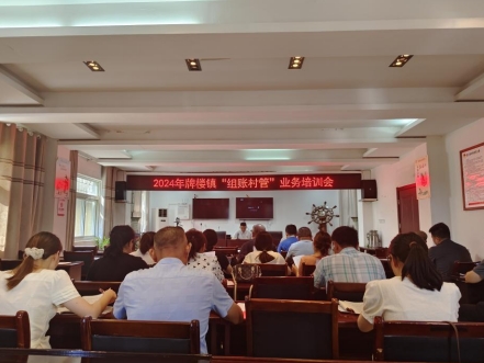 牌楼镇举办2024年“组账村管”业务培训会(图1)