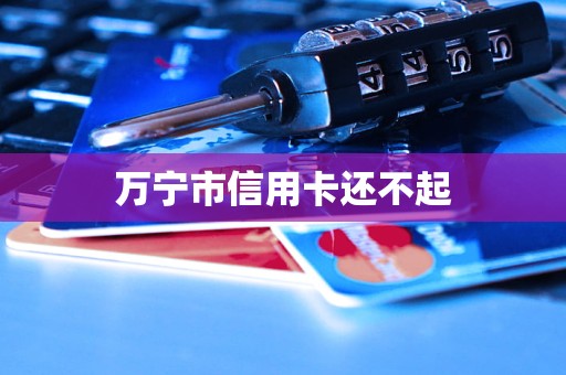 万宁市信用卡还不起(图1)
