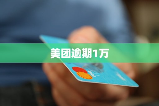 美团逾期1万-2024信用卡协商(图1)