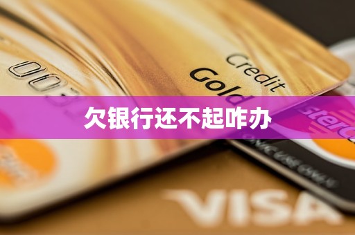 欠银行还不起咋办(图1)