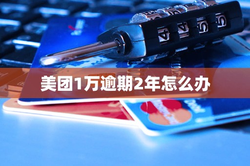 美团1万逾期2年怎么办(图1)