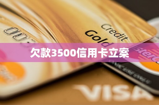 欠款3500信用卡立案(图1)