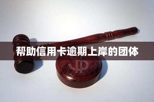 帮助信用卡逾期上岸的团体(图1)