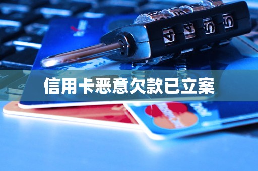 信用卡恶意欠款已立案(图1)