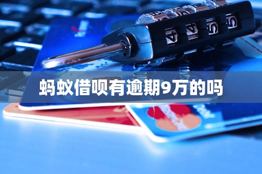 蚂蚁借呗有逾期9万的吗(图1)