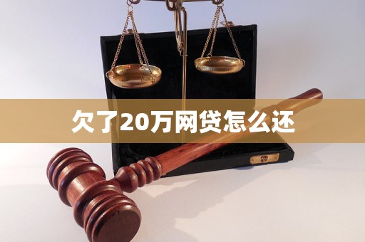 欠了20万网贷怎么还(图1)