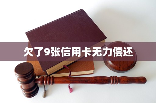 欠了9张信用卡无力偿还(图1)