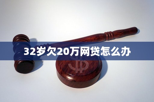 32岁欠20万网贷怎么办(图1)