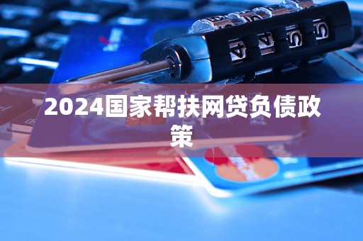 2024国家帮扶网贷负债政策(图1)