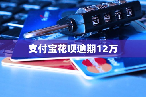 支付宝花呗逾期12万(图1)