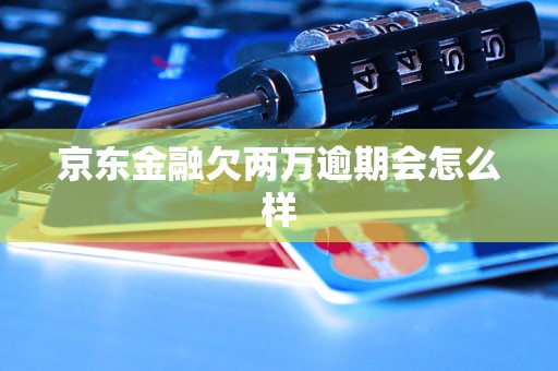 京东金融欠两万逾期会怎么样(图1)