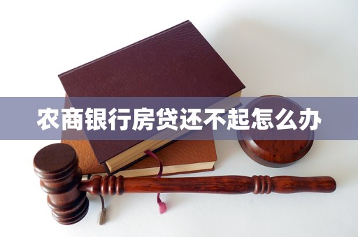 农商银行房贷还不起怎么办(图1)