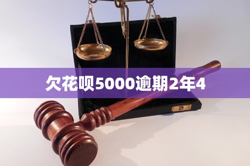 欠花呗5000逾期2年4(图1)