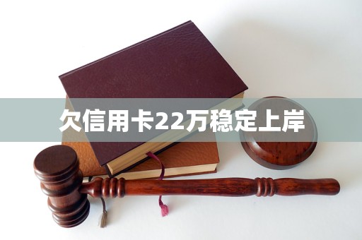 欠信用卡22万稳定上岸(图1)