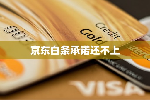京东白条承诺还不上(图1)