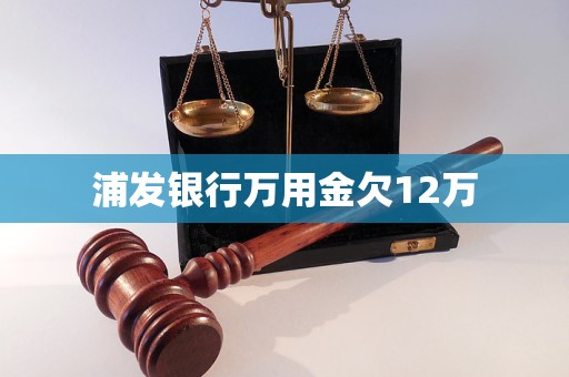 浦发银行万用金欠12万(图1)