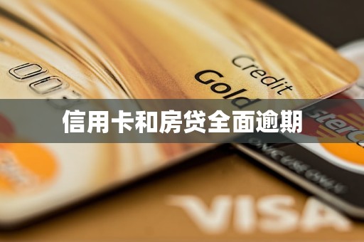 信用卡和房贷全面逾期(图1)