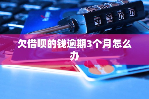 欠借呗的钱逾期3个月怎么办(图1)