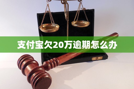 支付宝欠20万逾期怎么办(图1)