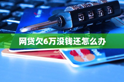 网贷欠6万没钱还怎么办(图1)