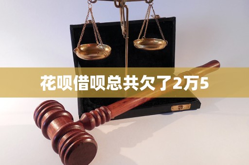 花呗借呗总共欠了2万5(图1)