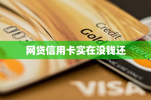网贷信用卡实在没钱还(图1)