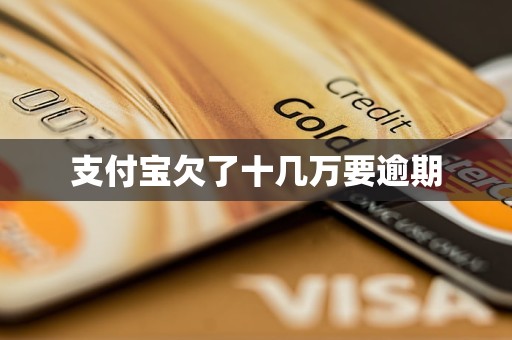 支付宝欠了十几万要逾期(图1)