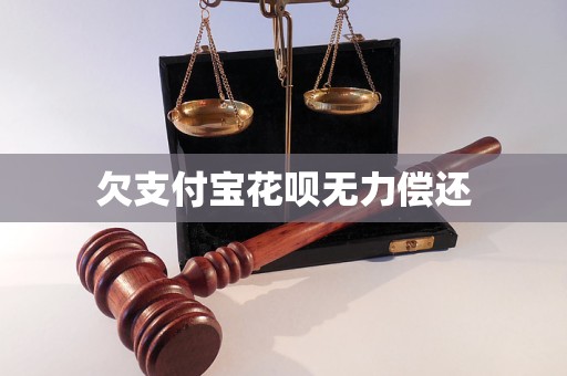 欠支付宝花呗无力偿还(图1)