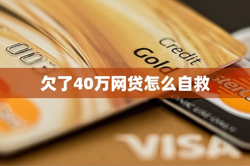 欠了40万网贷怎么自救(图1)