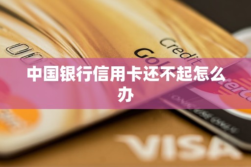 中国银行信用卡还不起怎么办(图1)
