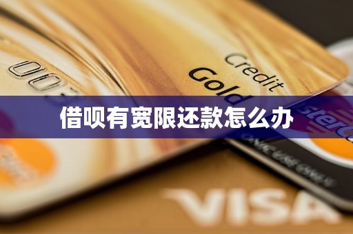 借呗有宽限还款怎么办(图1)