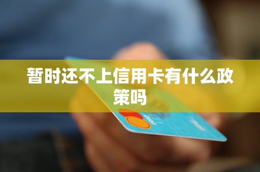 暂时还不上信用卡有什么政策吗(图1)