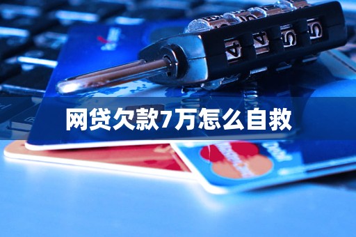 网贷欠款7万怎么自救(图1)