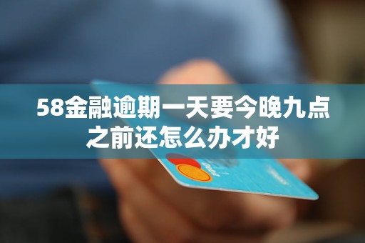 58金融逾期一天要今晚九点之前还怎么办才好(图1)