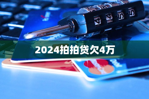 2024拍拍贷欠4万(图1)