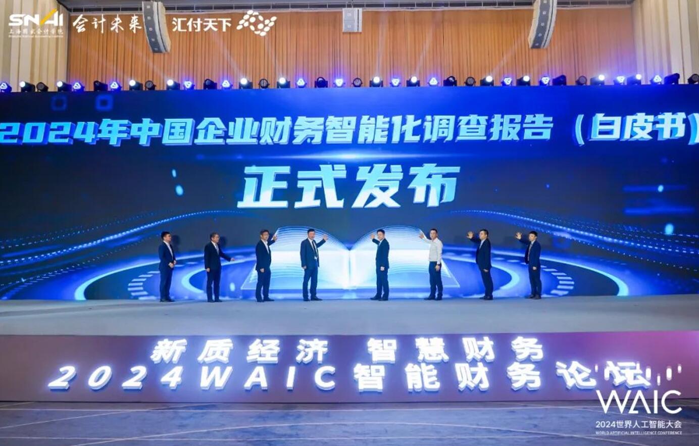 2024年中国企业财务智能化调查报告白皮书发布(图3)