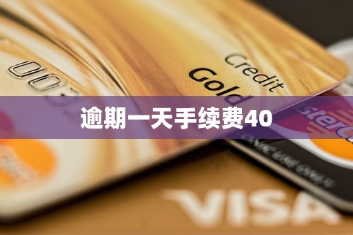 逾期一天手续费40(图1)