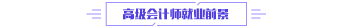 2024年高级会计师《高级会计实务》基础考点汇总(图1)