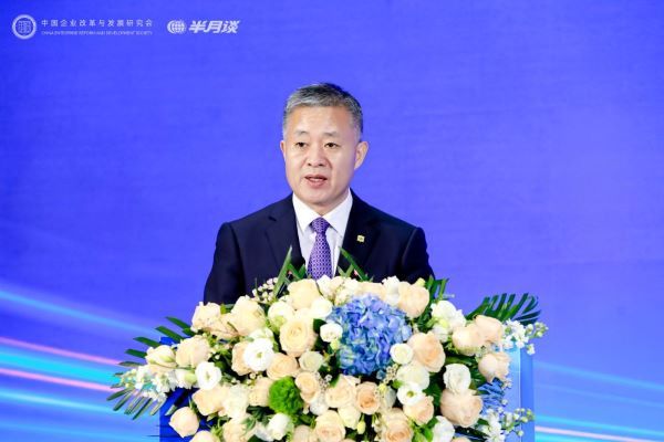 聚焦企业社会责任推动ESG高质量发展——2024企业ESG可持续发展大会成功举办(图5)