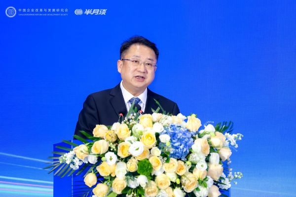 聚焦企业社会责任推动ESG高质量发展——2024企业ESG可持续发展大会成功举办(图15)