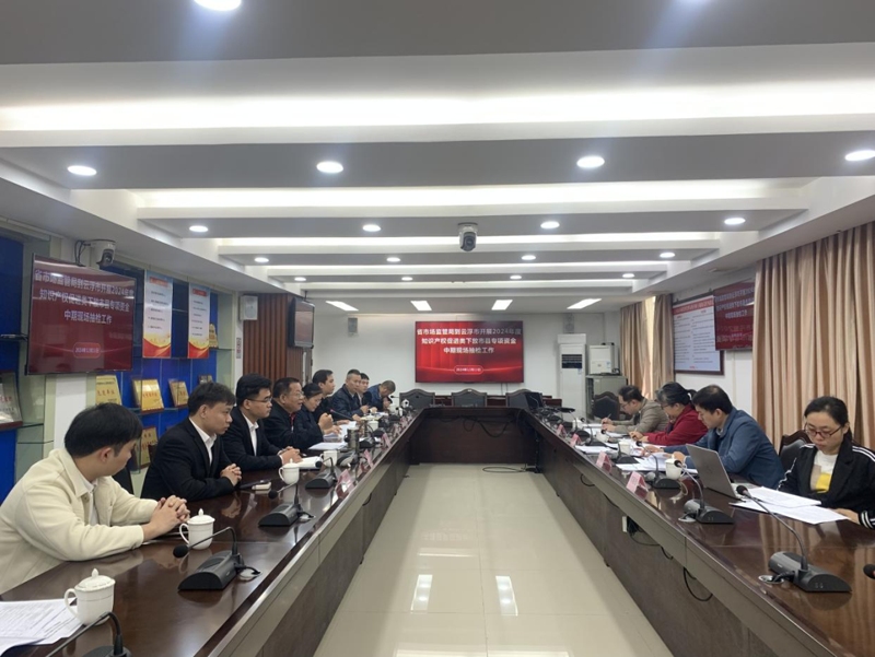 广东省市场监管局到云浮开展2024年度知识产权促进类下放市县专项资金中期现场检查工作(图1)