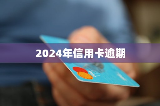 2024年信用卡逾期(图1)