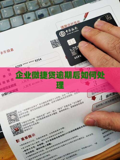 企业微捷贷逾期后如何处理(图2)