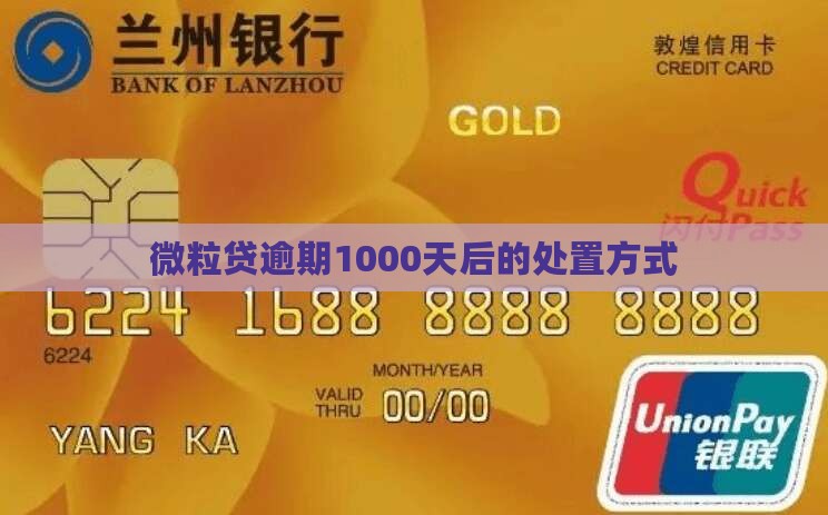 微粒贷逾期1000天后的处置方式(图2)