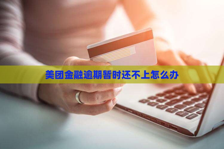 美团金融逾期暂时还不上怎么办(图1)