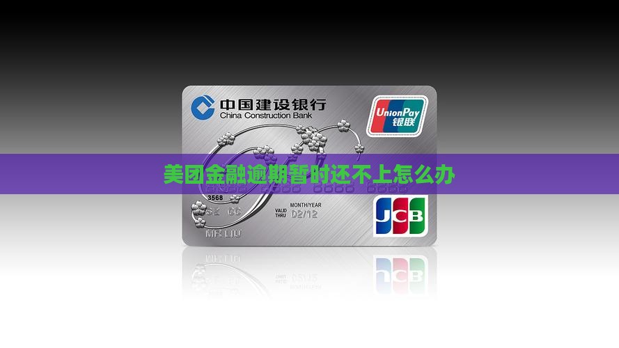 美团金融逾期暂时还不上怎么办(图2)