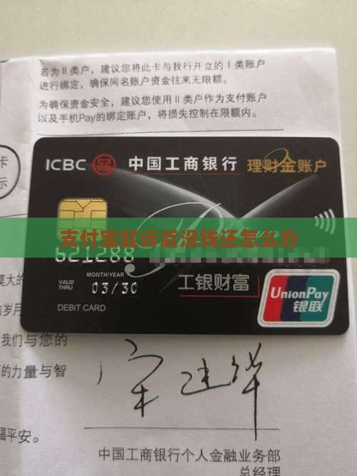 支付宝起诉后没钱还怎么办(图1)